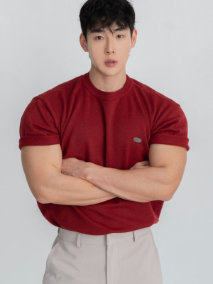 韓國🇰🇷6色基本款吊墜圓領針織短袖『韓國連線』